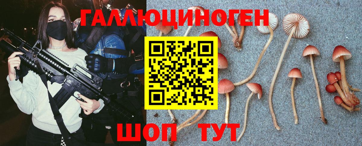 Псилоцибиновые грибы GOLDEN TEACHER Горно-Алтайск